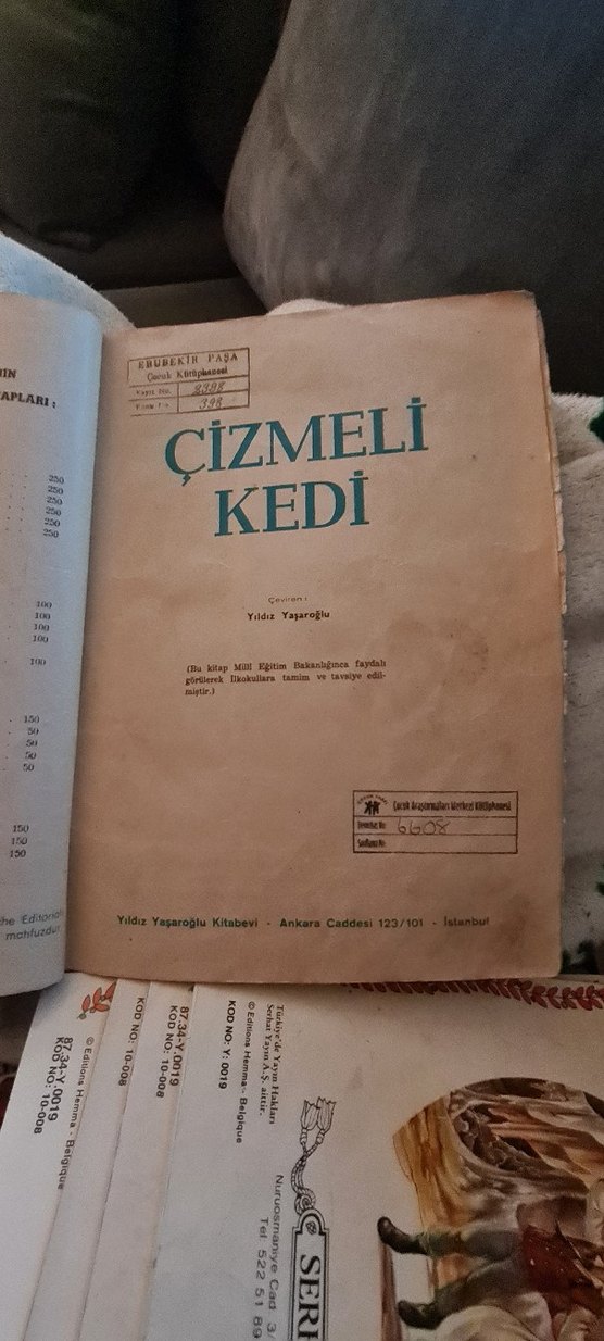 Çizmeli Kedi No 1 İş Bankası reklamlı - Görsel 3