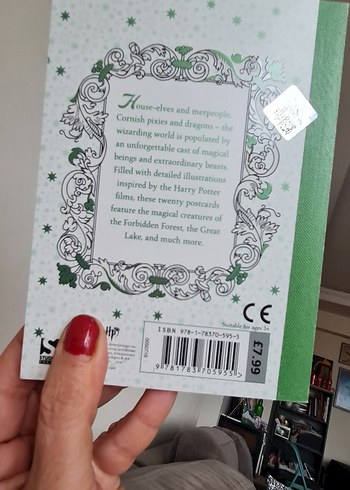 Harry Potter Büyülü Yaratıklar Boyama Kitabı - Görsel 2