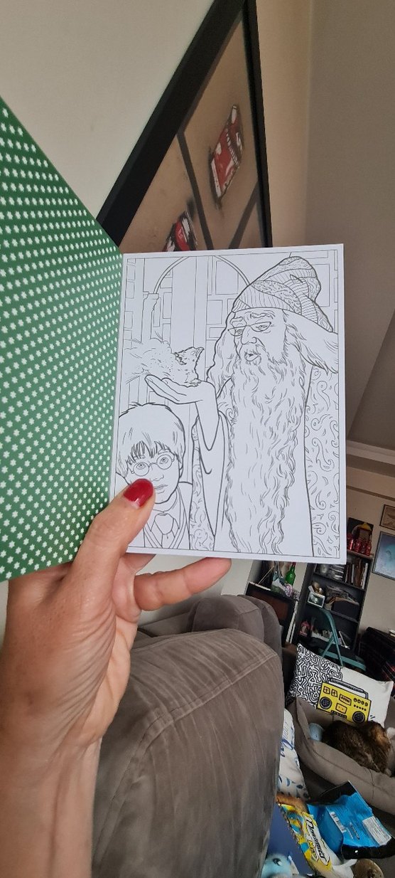 Harry Potter Büyülü Yaratıklar Boyama Kitabı - Görsel 3