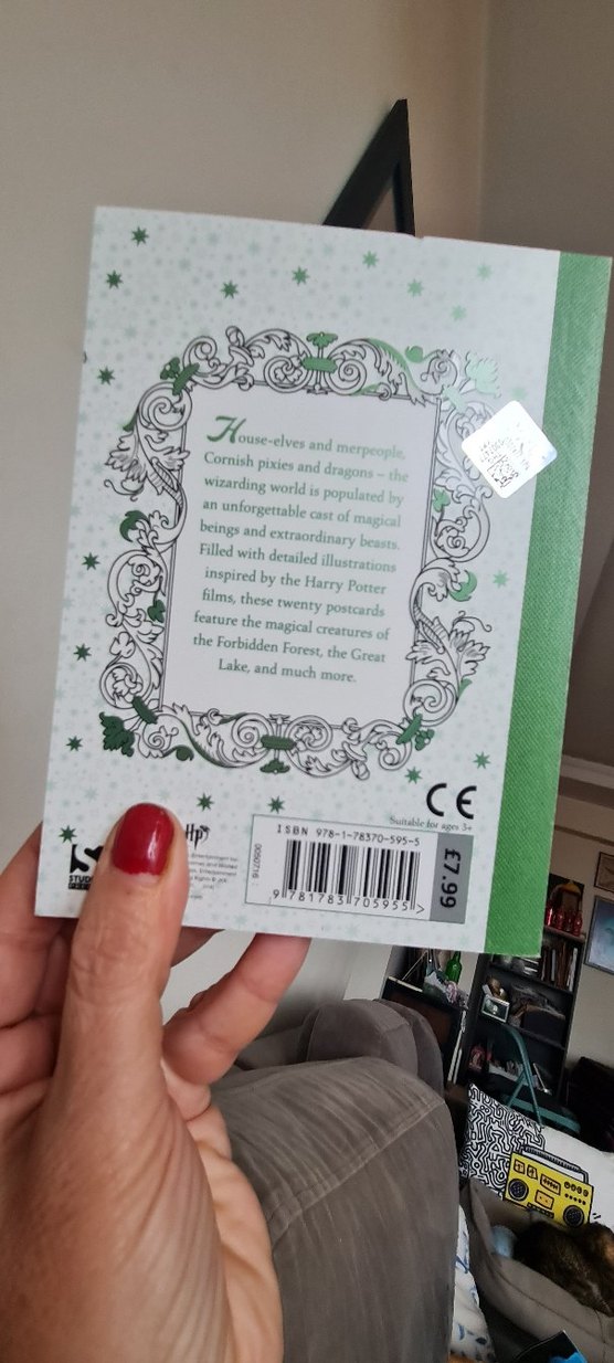 Harry Potter Büyülü Yaratıklar Boyama Kitabı - Görsel 2