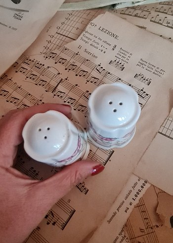 Beyaz Kuş Desenli Tuzluk ve Biberlik Seti - Görsel 2