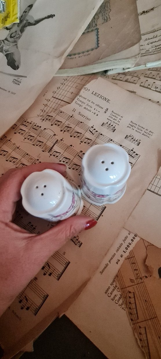 Beyaz Kuş Desenli Tuzluk ve Biberlik Seti - Görsel 2