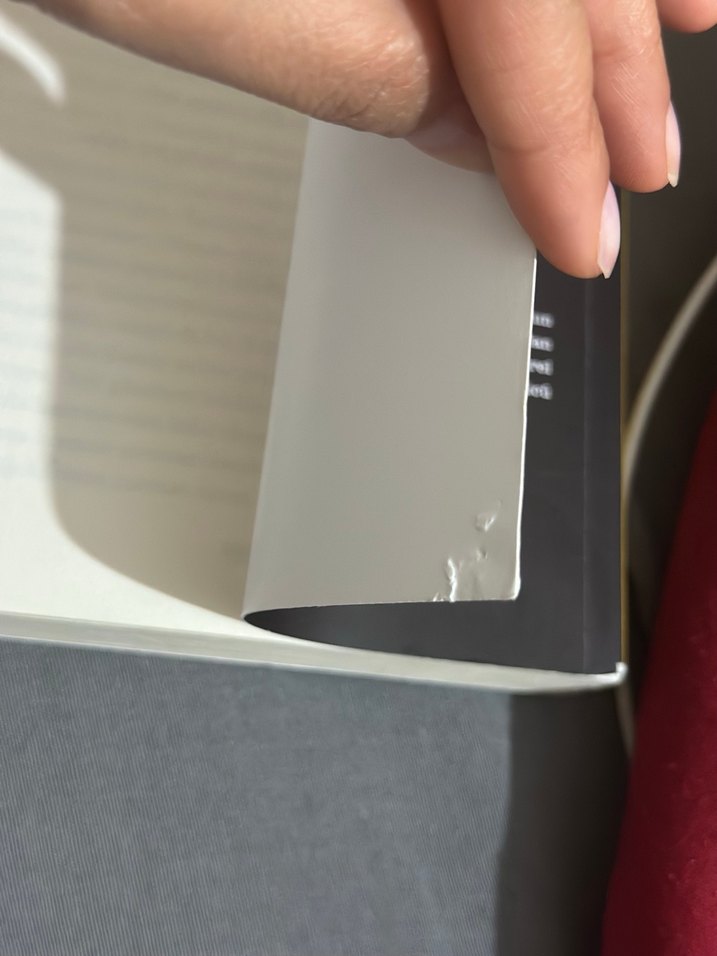 Sarık Yüz - R. F. Kuang - Görsel 2