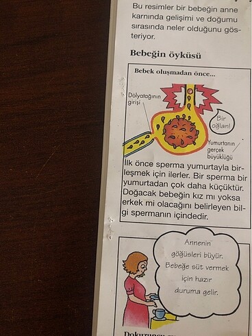  Beden Renk Çocuk ansiklopedisi