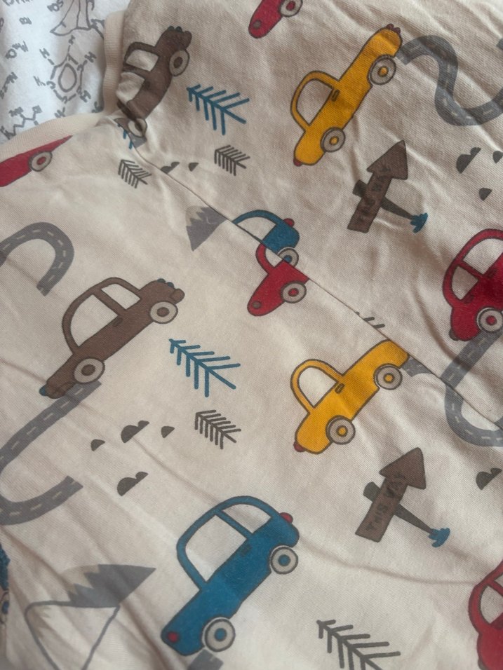 Erkek Çocuk Baskılı Fermuarlı Gri Tulum/2.5 tog - Görsel 4