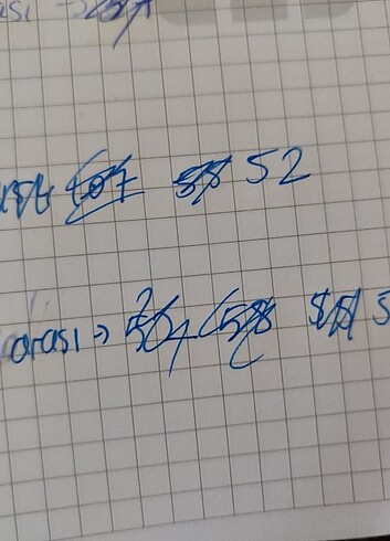 Diğer Bluz nar çiçeği renk