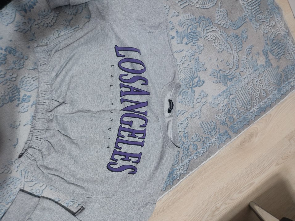 Gri Kadın Baskılı Sweatshirt - Görsel 4