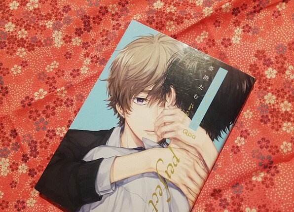 Japonca Yaoi Manga