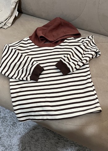 Defacto Kapüşonlu Kahverengi Çizgili Erkek Sweatshirt