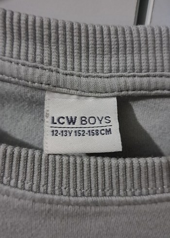 Gri Baskılı Erkek Sweatshirt - Görsel 3