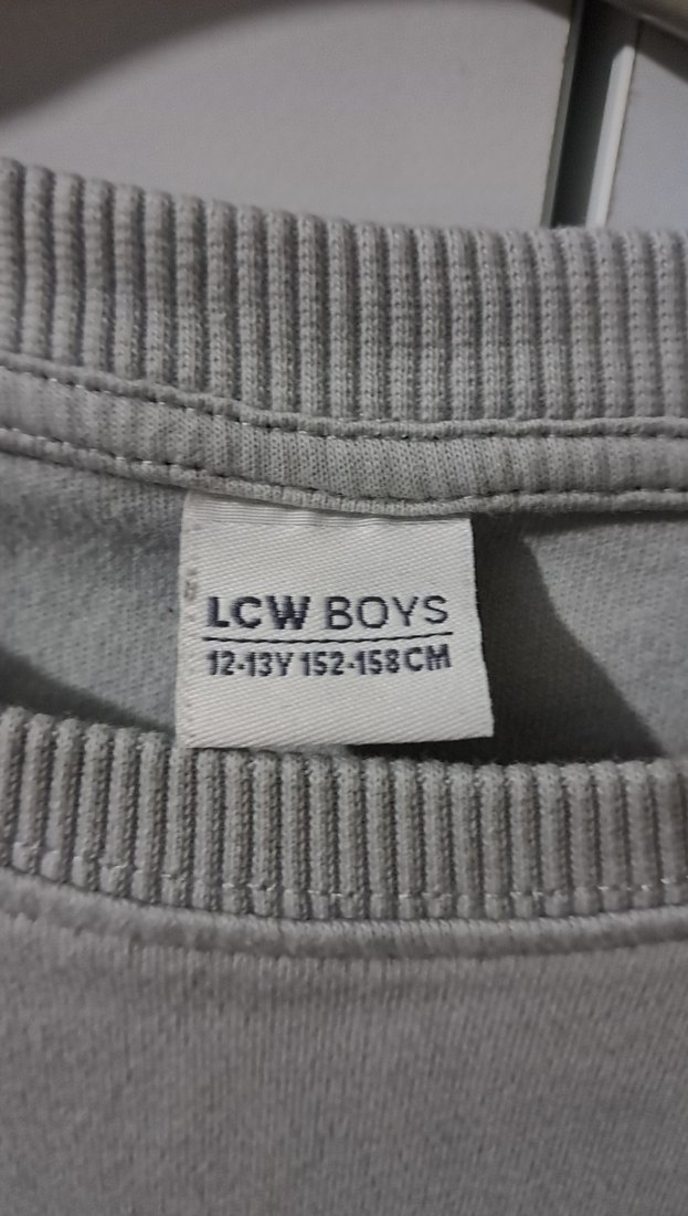 Gri Baskılı Erkek Sweatshirt - Görsel 3