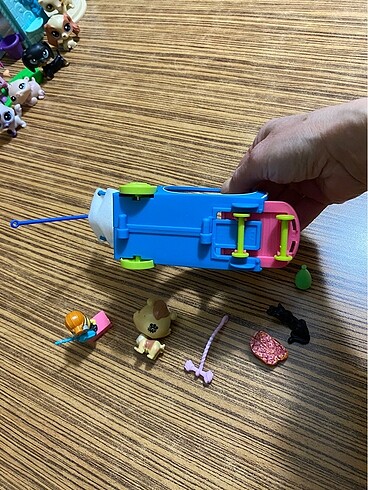  Beden Hamster Miniş ve Miniş arabası