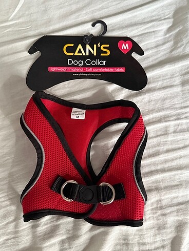 Beden köpek tasması