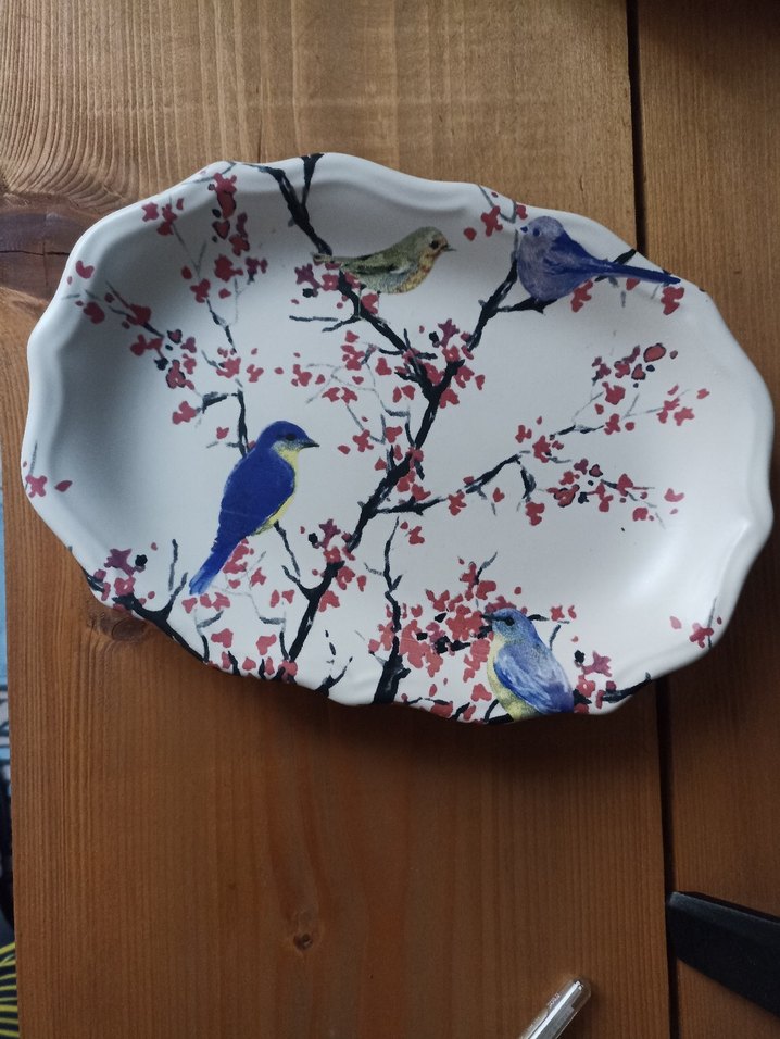 Çiçek ve Kuş Desenli Renkli Tabak - Görsel 2