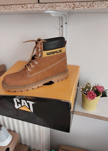 Cat hardal Caterpillar Erkek Bot