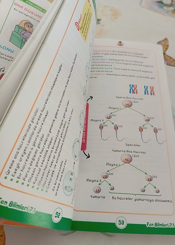 Tonguç 7. Sınıf Akıl Notları - Tüm Dersler - Görsel 4