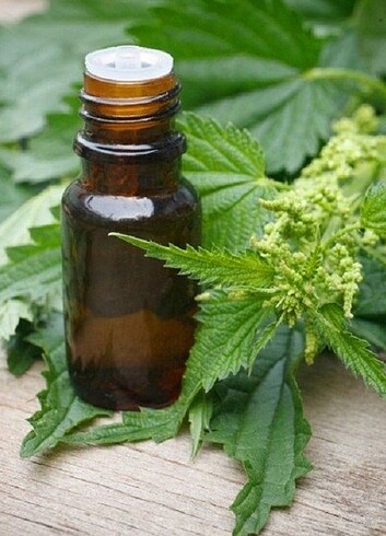 Isırgan otu yapı 100 ml yeni