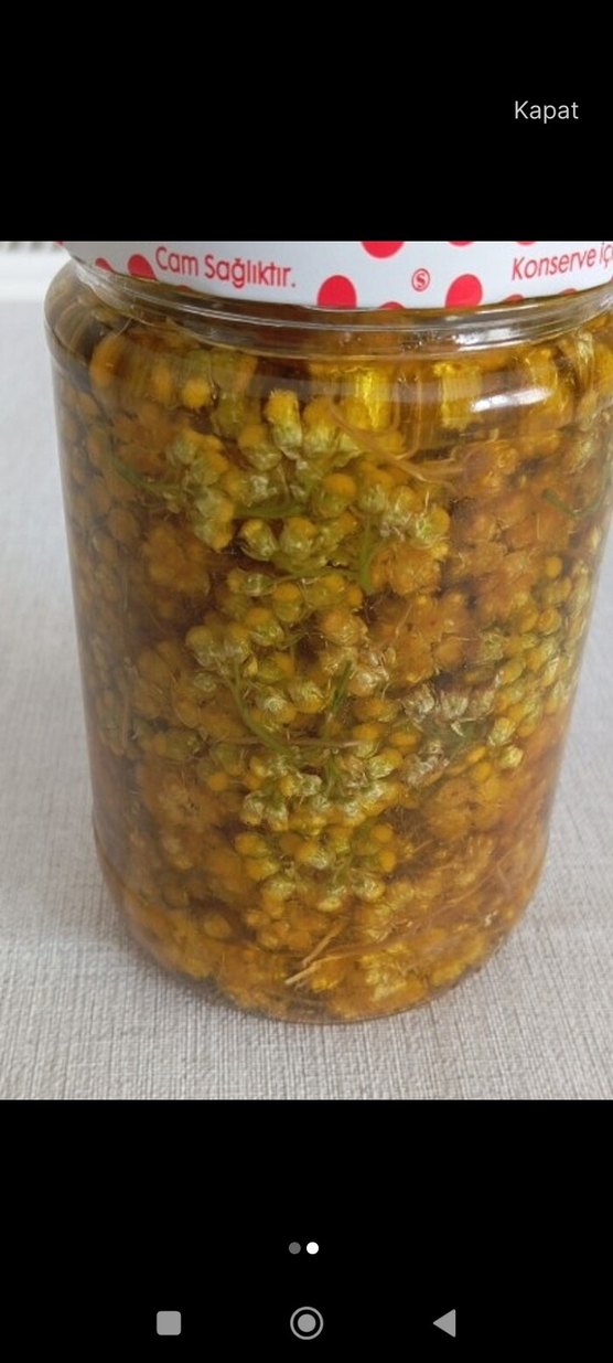 Altın otu yağı - Görsel 2