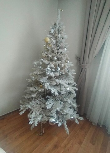 Yıl başı çam ağacı 