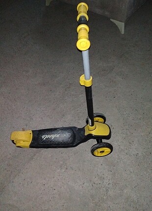 Scoter