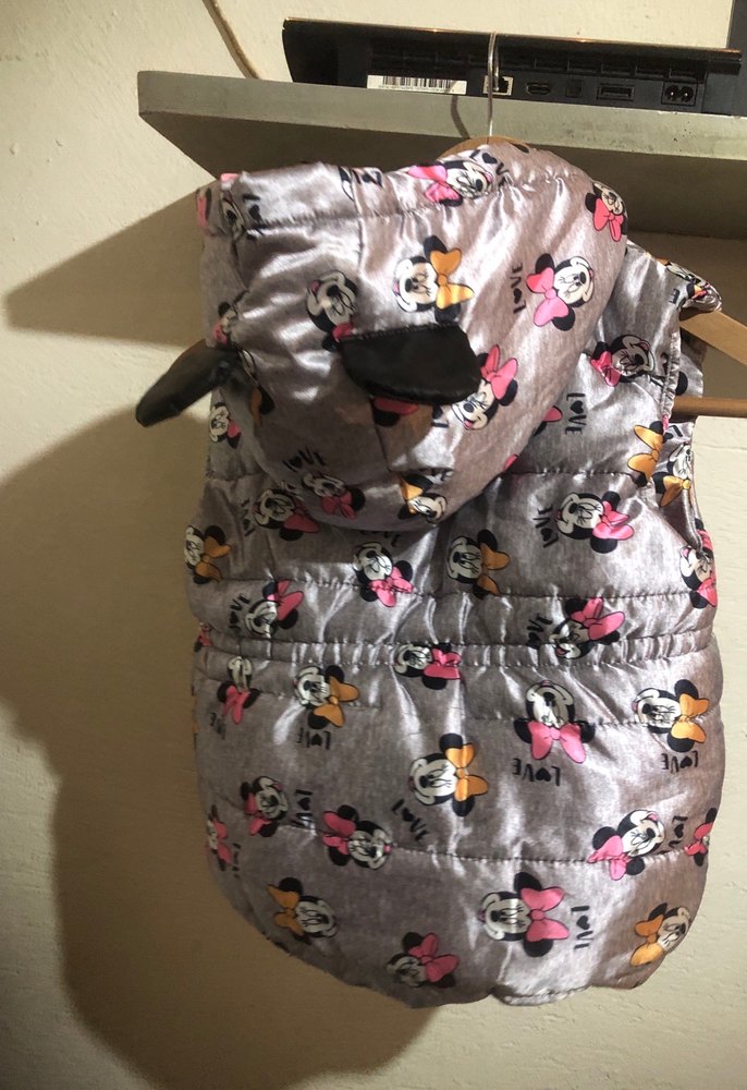 Kız Çocuk Gri Minnie Baskılı Fermuarlı Yelek - Görsel 2