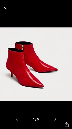 Zara bot