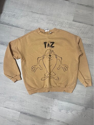 sweetshirt