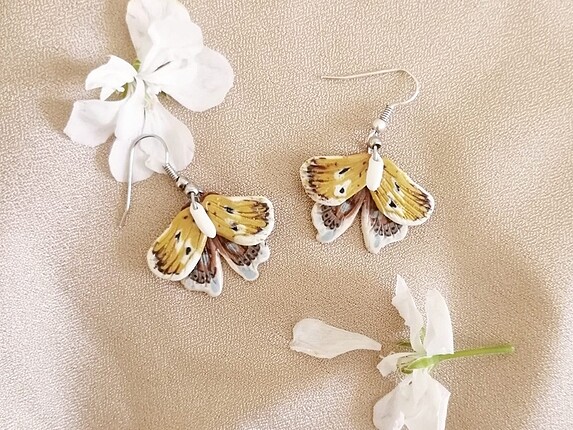 Butterfly dreams