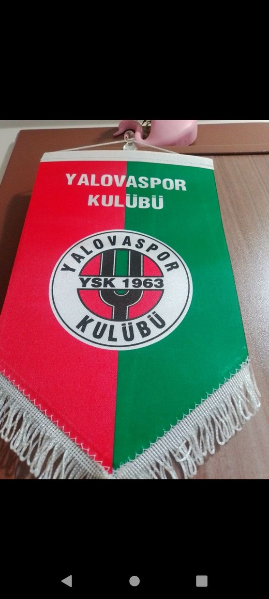 Yalovaspor Kulübü Vintage flama - Görsel 2