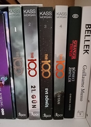 The 100 serisi