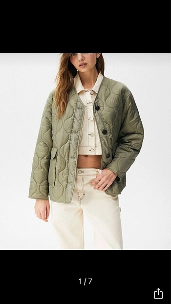 Pull and bear mont