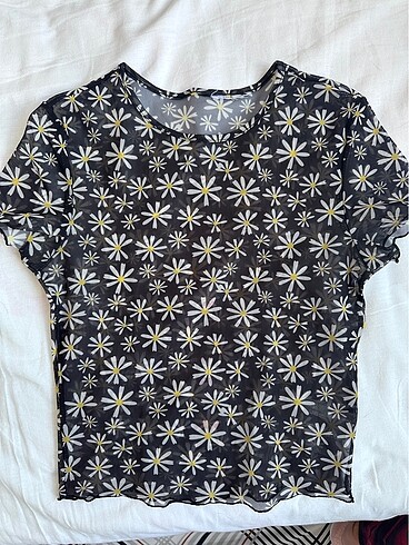 Transparan crop