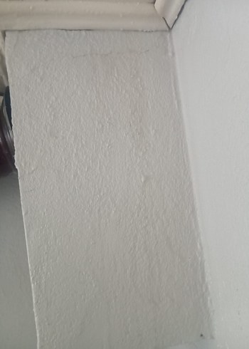 Bio Energy Çamaşır Leke Çıkarıcı Sprey - Görsel 2