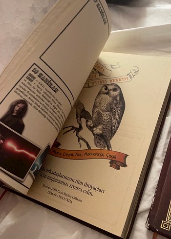 Harry Potter Haftalık Planlayıcı ve Ajanda - Görsel 9