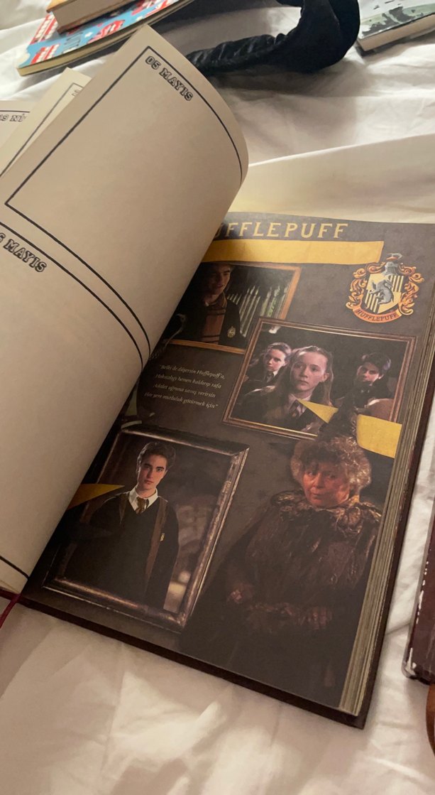 Harry Potter Haftalık Planlayıcı ve Ajanda - Görsel 3
