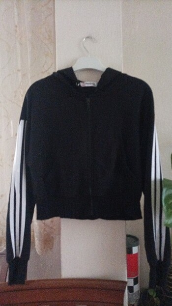 Crop hirka M.L eden yaziyi