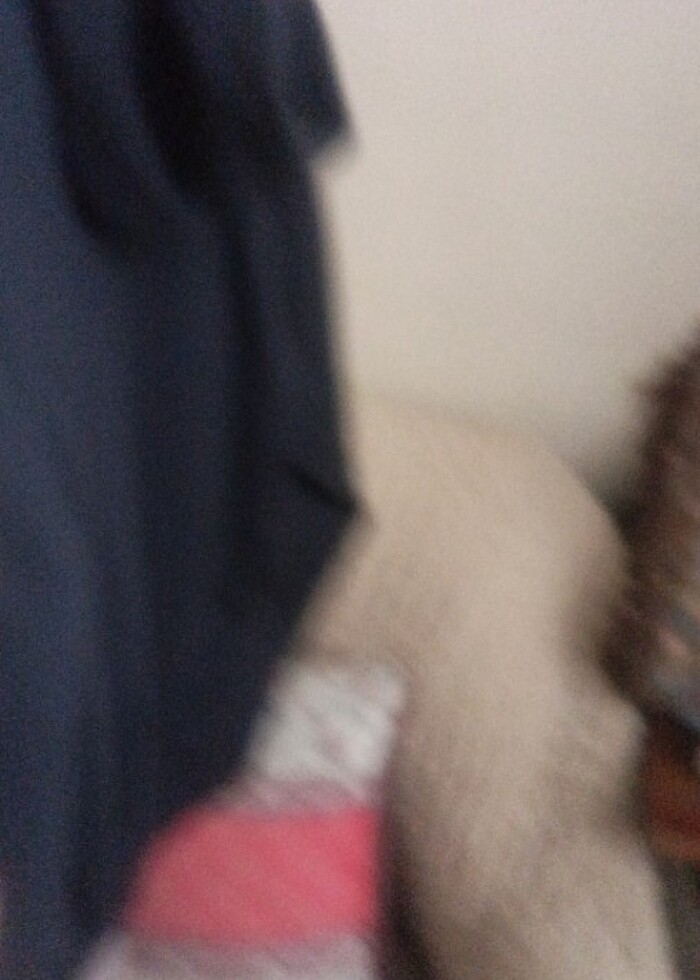 Ürün temiz  - Görsel 4