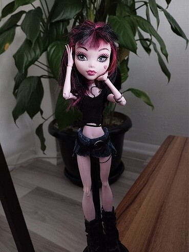 Monster High monster high draculaura