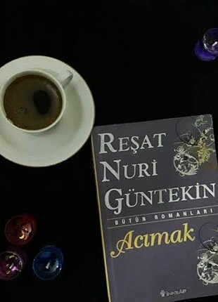 Reşat Nuri Güntekin-Acimak KİRALİK KONAK 