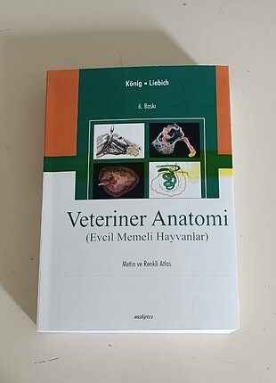VETERİNER ANATOMİ 
