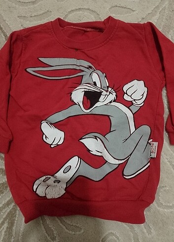 Diğer Bebek sweat