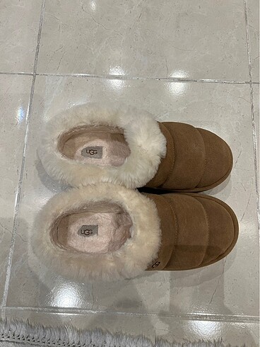 Ugg bayan bot