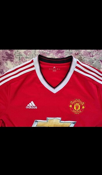 Manchester United forma