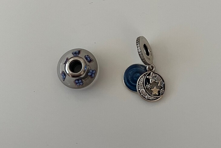 Pandora pandora charm
