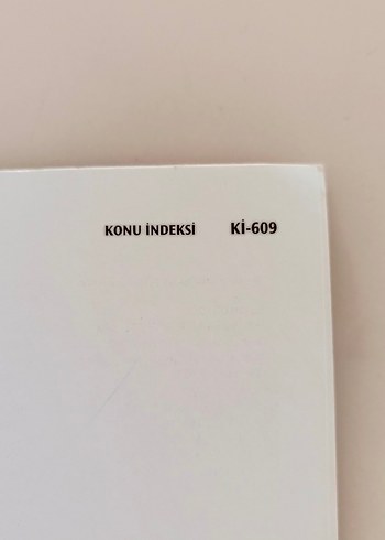 Beden Renk Bebekler ve Çocuklar - Laura E. Berk
