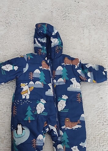 Astronot mont 