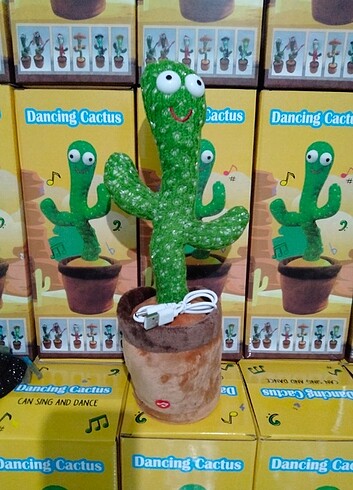 Kaktüs 