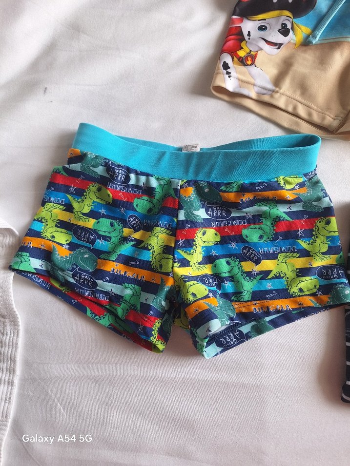 Erkek  Çizgili Deniz Şortu 3 lu mayo - Görsel 3