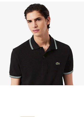 Lacoste l