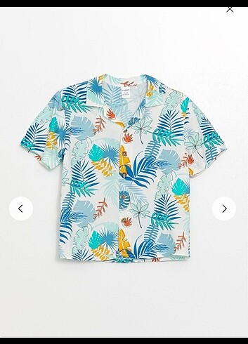 LC Waikiki LCW Erkek Çocuk Gömlek 4 5 y